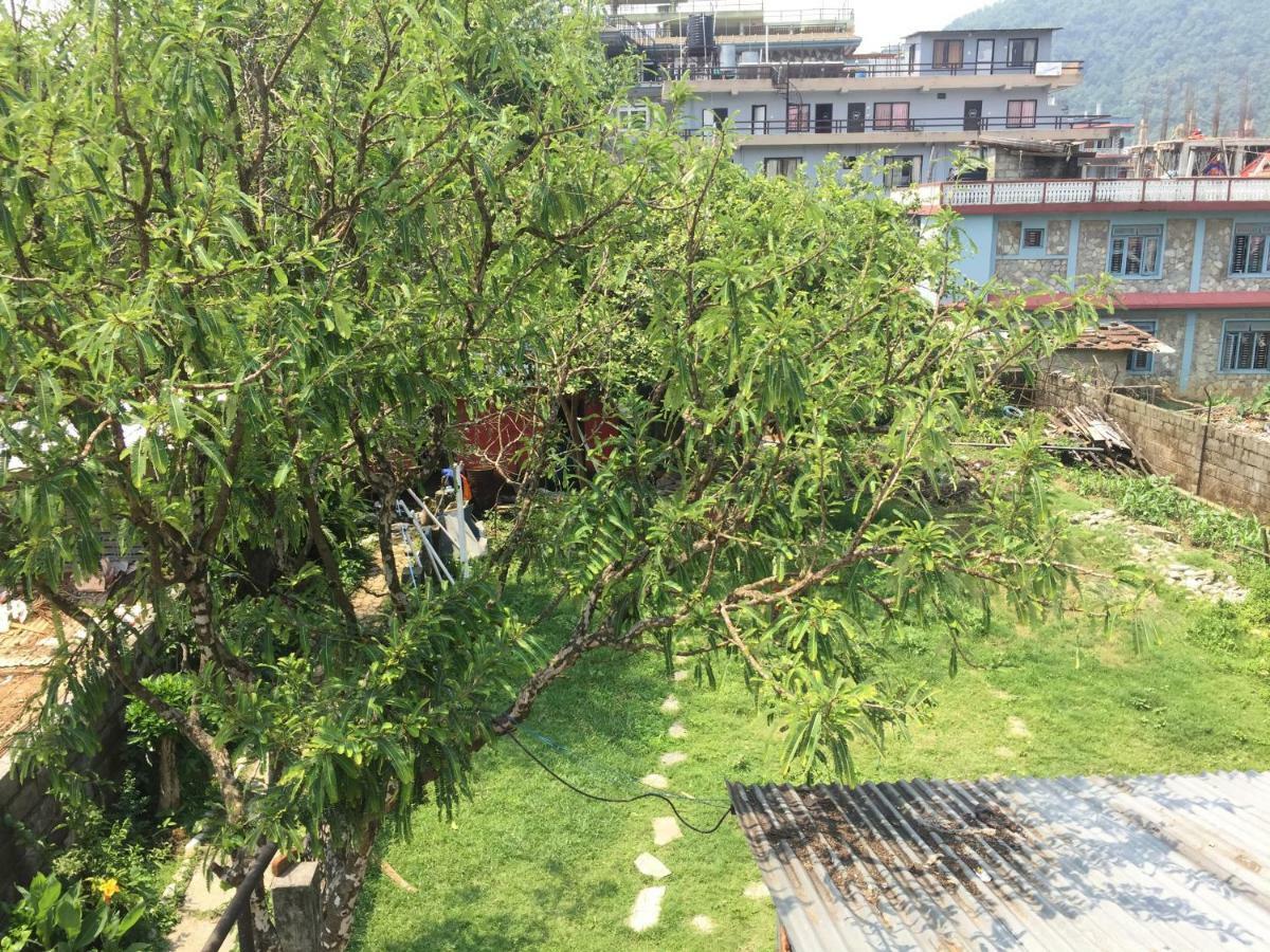 Nepalaya Eco Hostel Pokhara Eksteriør billede